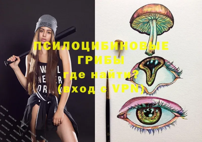 Галлюциногенные грибы Psilocybe  Чистополь 